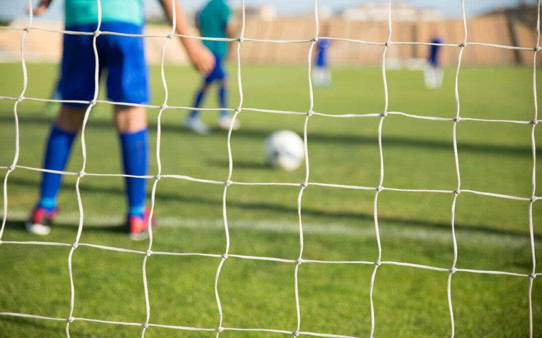 Een dag vol energie, sportiviteit en schooltrots